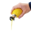 Obrázek Odšťavňovač citronů nerez