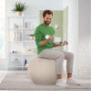 Obrázek Míč gymnastický na sezení Leitz Ergo s těžítkem proti odkutálení 65 cm sv. šedý